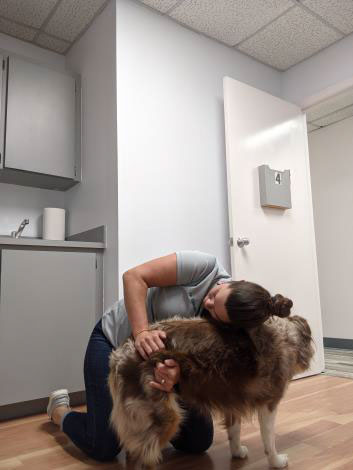 Chiropractic Care For Animals in West Palm Beach, FL