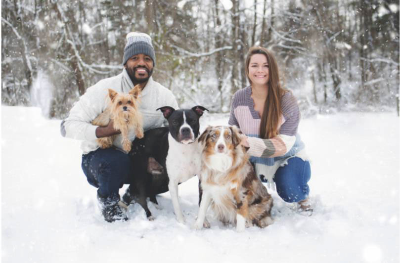 pet chiropractor and animal chiropractor in Palm Springs, FL