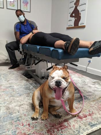 ac05animal chiropractic photos West Palm Beach, FL
